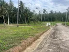 Land for Sale in Naiwala