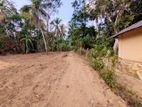 Land for sale in Naiwala
