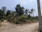 Land for sale in Naiwala