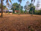 Land for sale in Naiwala
