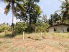Land for Sale in Naiwala - Hs 11559