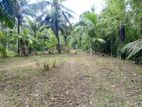 Land for Sale in Naiwala , Veyangoda