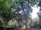 Land for Sale in Nakulugama, Matara