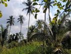 Land for Sale in Nalla, Mirigama