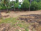 Land for Sale in Nallur