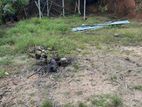 Land for Sale in Nape Junction (Mawathagama - Kurunegala Road)