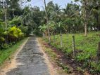 Land for Sale in Narammala City Area