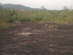 Land for Sale in Narammala