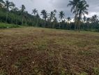 land for sale in Narammala