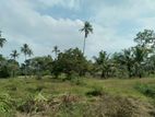 Land For Sale in Narammala