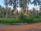 Land For Sale in Narammala