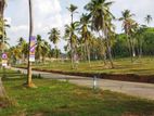 Land for Sale in Narammala