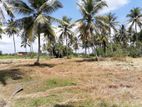 Land For Sale in Narammala