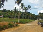 Land for Sale in Narammala