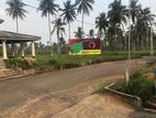 Land for sale in narammala