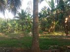 Land For Sale in Narammala