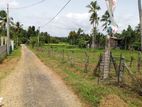 Land for Sale in Narammala
