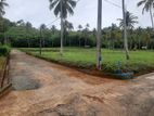 Land for Sale in Narammala