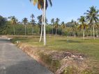 land for sale in narammala