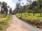 Land for Sale in Narammala