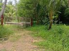 Land For Sale In Narammala