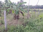 Land for sale in Narammala