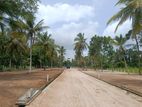 Land for Sale in Narammala