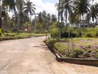 Land for Sale in Narammala