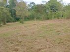 Land for Sale in Narammala, Kurunegala – THI0074L