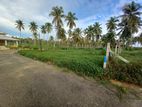 Land for Sale in Narammala Maharagama