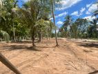 Land for Sale in Narammala Town