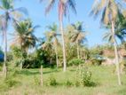 Land for sale in naththandiya