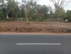 Land for Sale in Naththandiya