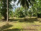 Land for Sale in Naththandiya