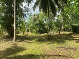 Land for Sale in Naththandiya