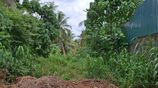 Land for Sale in Nattambuwa