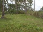 Land for Sale in Nattandiya