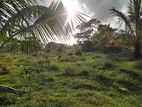 Land For sale in Nattandiya