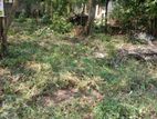 Land For Sale In Nattandiya