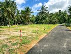 Land for Sale in Nattandiya Marawila