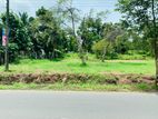 Land for Sale in Nattandiya Thabbowa