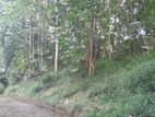 Land For Sale in Nattarampotha Kandy