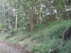 Land For Sale in Nattarampotha | Kandy