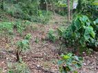 Land for Sale in Naula City Matale