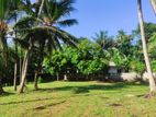 Land for Sale in Nawagamuwa