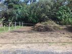 Land For Sale In Nawagamuwa Road,Athurugiriya - 3761U