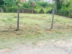 Land for Sale in Nawala