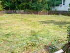 Land for Sale in Nawala