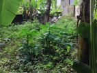 Land for Sale in Nawala