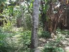 Land for sale in Nawala
